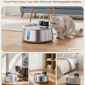 Cat drinking from the 4L wireless stainless steel water fountain